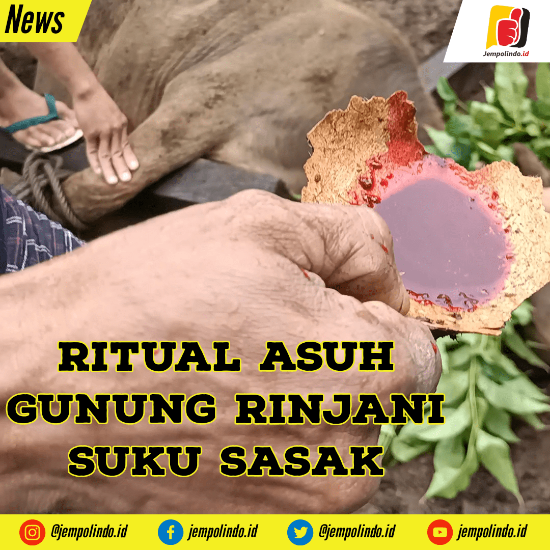 JEMPOLINDO ID Asuh Gunung Suku Sasak Lombok Utara Ritual Menjaga