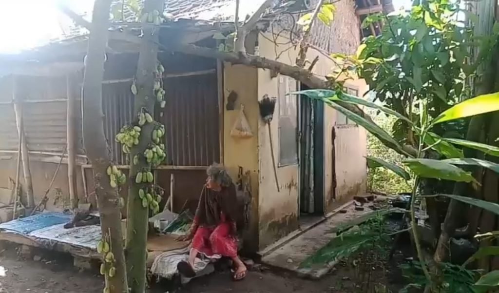 Nenek Maimunah