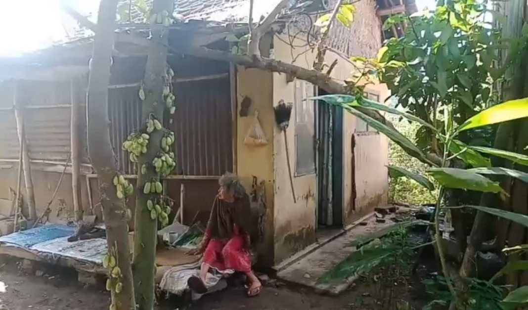 Nenek Maimunah Nenek Maimunah