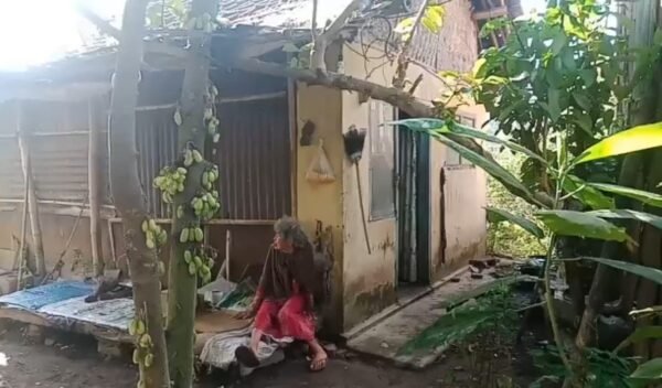 Nenek Maimunah