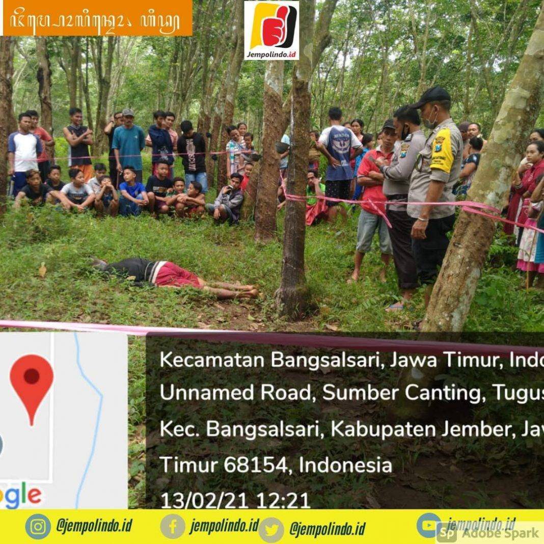 Penemuan Mayat Dikebun Karet Jember