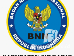 BNN