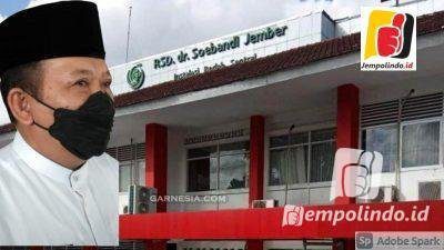 Bupati Jember