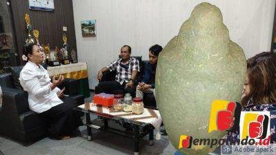 Viral Penjualan Batu Kenong