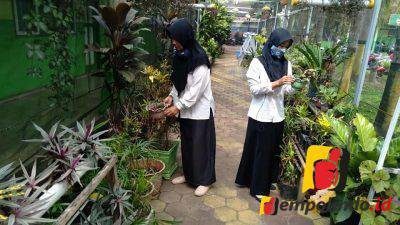 MTs Baitul Hikmah