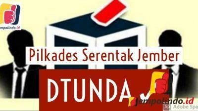 Pilkades Jember Ditunda