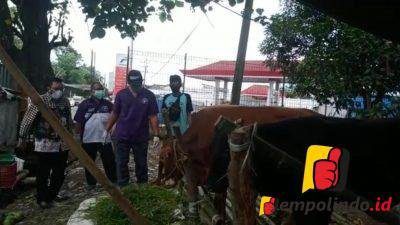 jelang idul adha