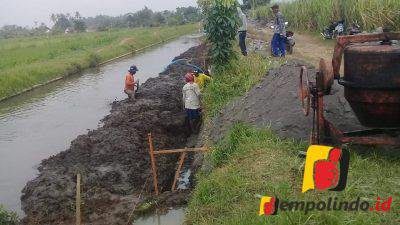 Proyek Rehabilitasi Jaringan Irigasi Sungai Bondoyudo digarap Asal-asalan