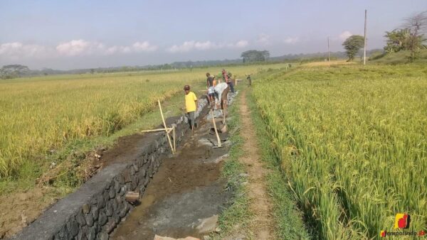 Proyek DD Padomasan Abaikan UU 14/2008 Proyek DD Padomasan