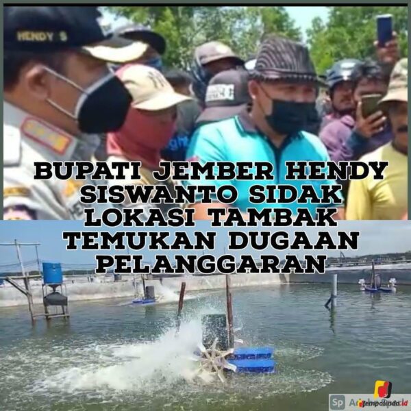 sidak lokasi tambak bupati Jember temukan dugaann pelanggaran Sidak Lokasi Tambak