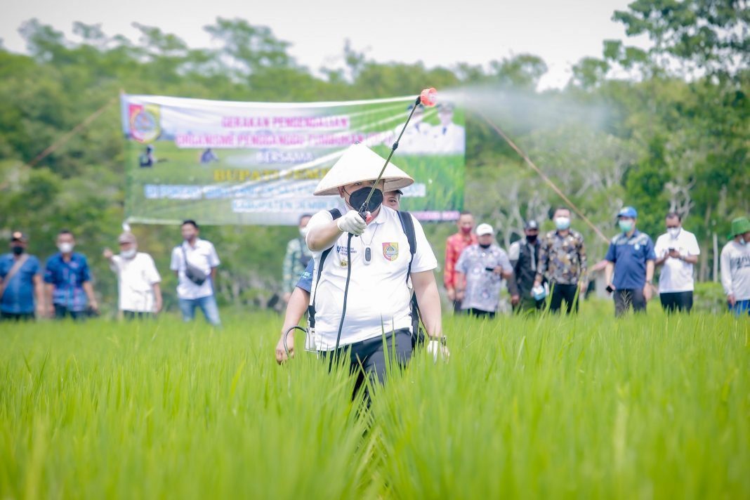 Inovasi Petani Jember Inovasi Petani Jember