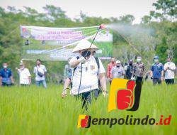 Petani Jember Ciptakan Pestisida Hayati