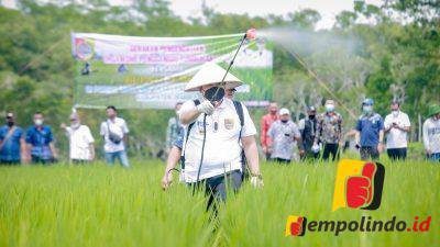 Inovasi Petani Jember