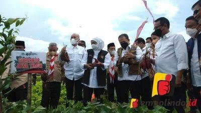 Milenial Jember Bertani