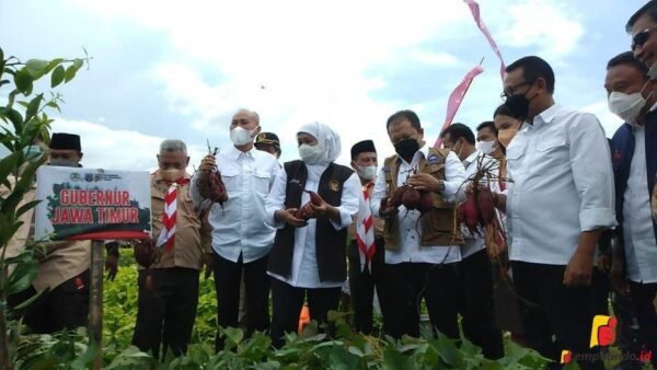 Milenial Jember Bertani