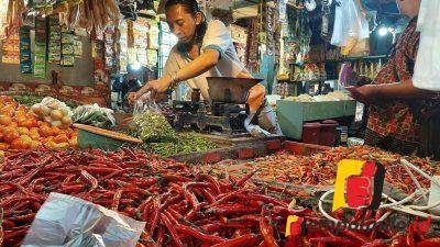 Harga Cabai