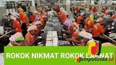 1873 petani jember