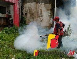 3 Anak Terjangkit  DBD, PMI Jember Lakukan Fogging 