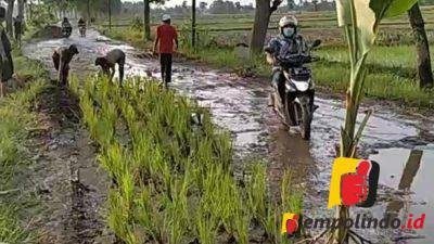 Jalan rusak