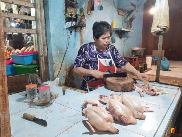 Harga Daging Ayam Potong