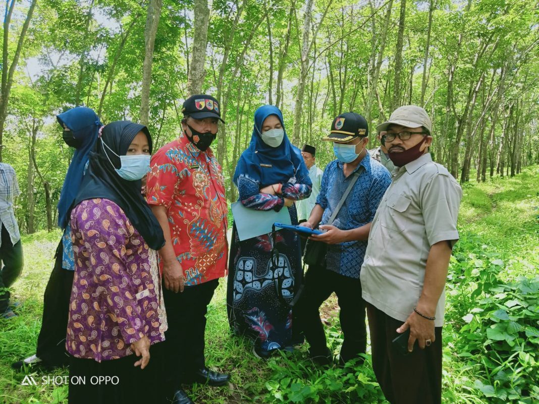 Permohonan Pelepasan Tanah