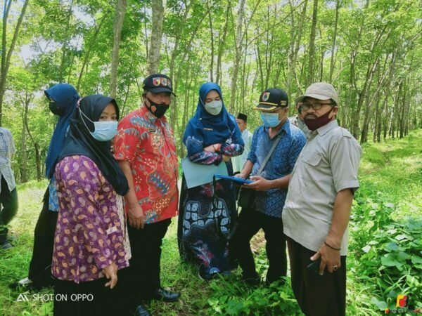 Permohonan Pelepasan Tanah