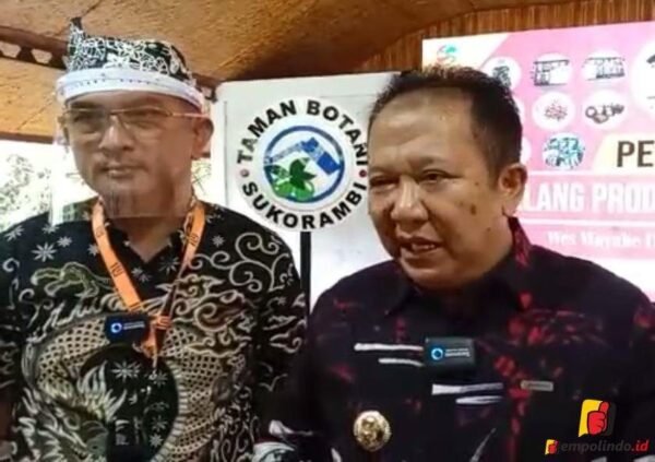 Lelang Produk UMKM
