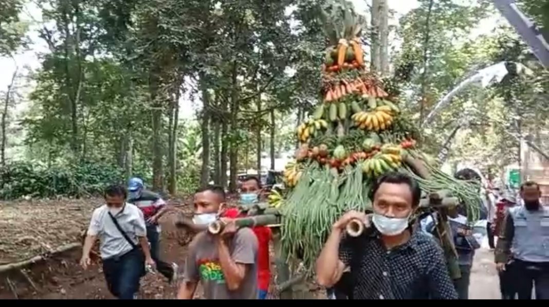 Sedekah Bumi LMDH Rengganis Desa Pakis Sedekah bumi LMDH