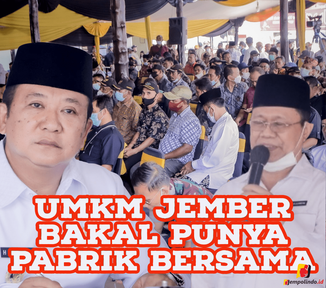 UMKM Jember
