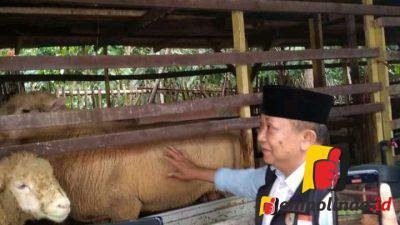 Peternakan Terpadu