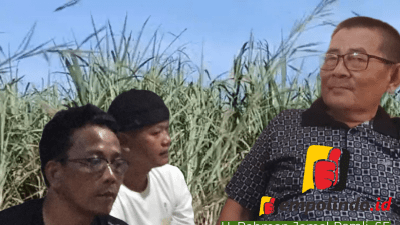 Petani Tebu Lampung Inginkan Naiknya Harga Gula 