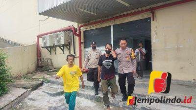 Sales obat nyamuk