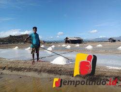 Bima Sentra Garam di NTB Masih Butuh Sentuhan 