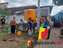 Kekeringan Wilayah Kota Jember Bertambah Nyoman Desak Pemkab Jember 