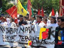 Mahasiswa Jember Demo Tolak Harga BBM Naik, Sweeping Gedung DPRD Jember 