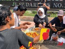 Hadapi Masalah Klasik Anjloknya Harga Tomat, Petani Jember Minta Perhatian Pemerintah 