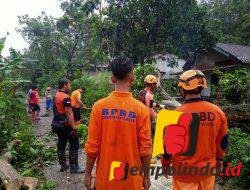 Hujan Deras Disertai Angin Kencang Rusak Belasan Rumah di Jember