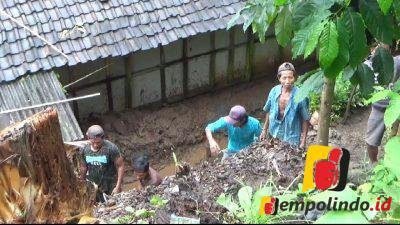 Jempolindo, jember, desa pondokdalem, tanah longsor
