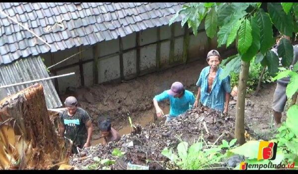 Jempolindo, jember, desa pondokdalem, tanah longsor