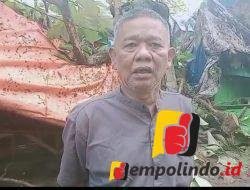 jempolindo, jember, pelanggan pln, rambipuji, angin puting beliung