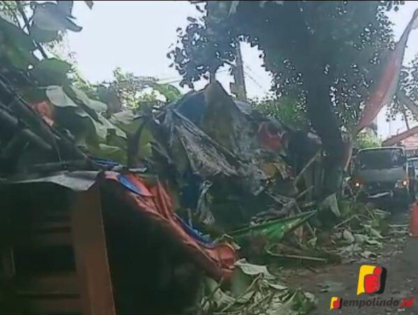 Listrik 1000 Pelanggan PLN Rambipuji Sempat Padam Akibat Puting Beliung jempolindo, jember, Pelanggan PLN,
