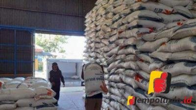 Jempolindo, jember, Bulog Jember, Stok Beras