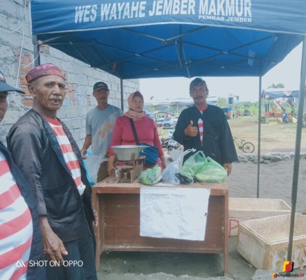 Jempolindo, jember, Gumukmas, Potensi Ikan Kutuk, Desa Berdaya