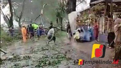 Jempolindo, jember, bangsalsari, sukorejo, angin puting belliung