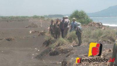 Rencana Pembangunan Tambak Udang di Pesisir Pantai Puger Dihentikan