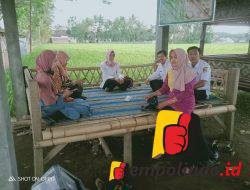 jempolindo, jember, rambipuji, er teler, irfan