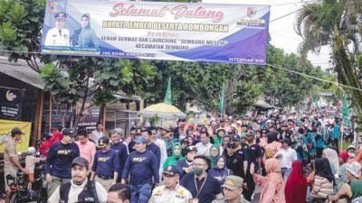 jempolindo, jember, bupati jember, semboto mesem