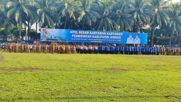 jempolindo, jember, refleksi dua tahun, kepemimpinan, bupati jember