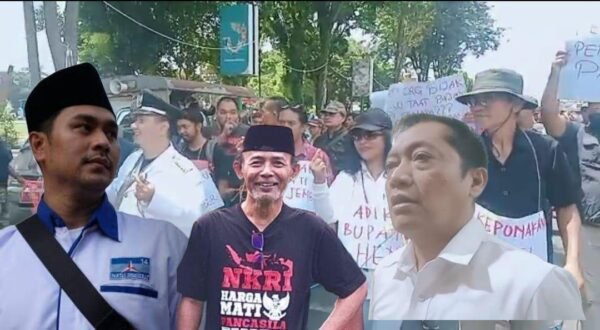 jempolindo, jember, refeksi dua tahun, bupati jember, komentar tokoh