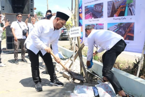 jempolindo, gresik, pwi, pohon tabebuya